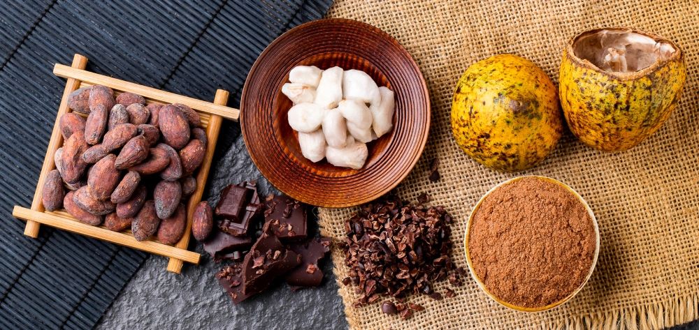 Cacao y Chocolate del Perú con Let's Chocolaat